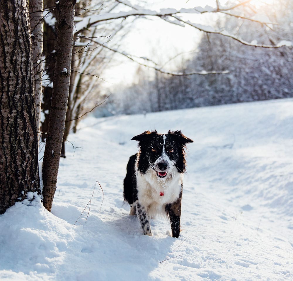 How To Stay Warm In Winter - Handy Little Me