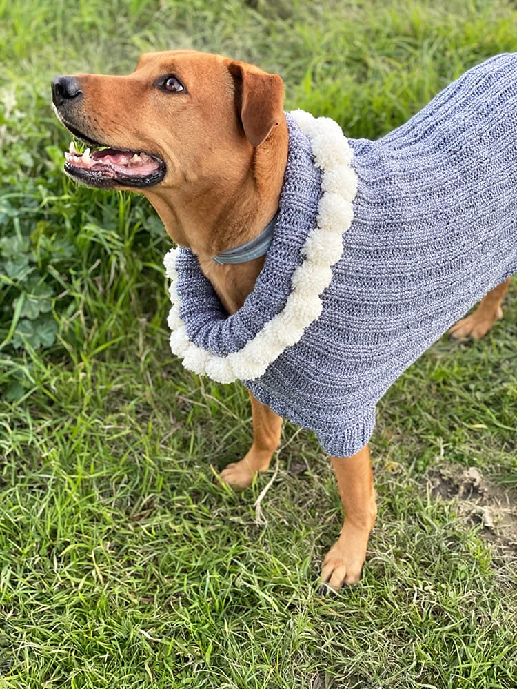 Puppy Sweater Knitting Pattern (XS Puppy) - Handy Little Me