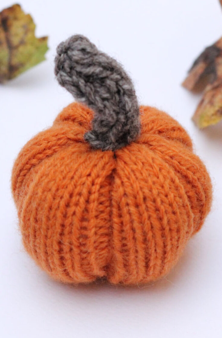 Knitting for Beginners Course Fall Pumpkin • Stencil - a DIY Craft Studio